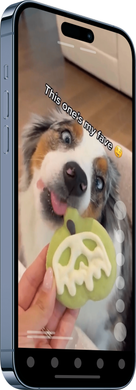 services_tiktok_example tiktok ads